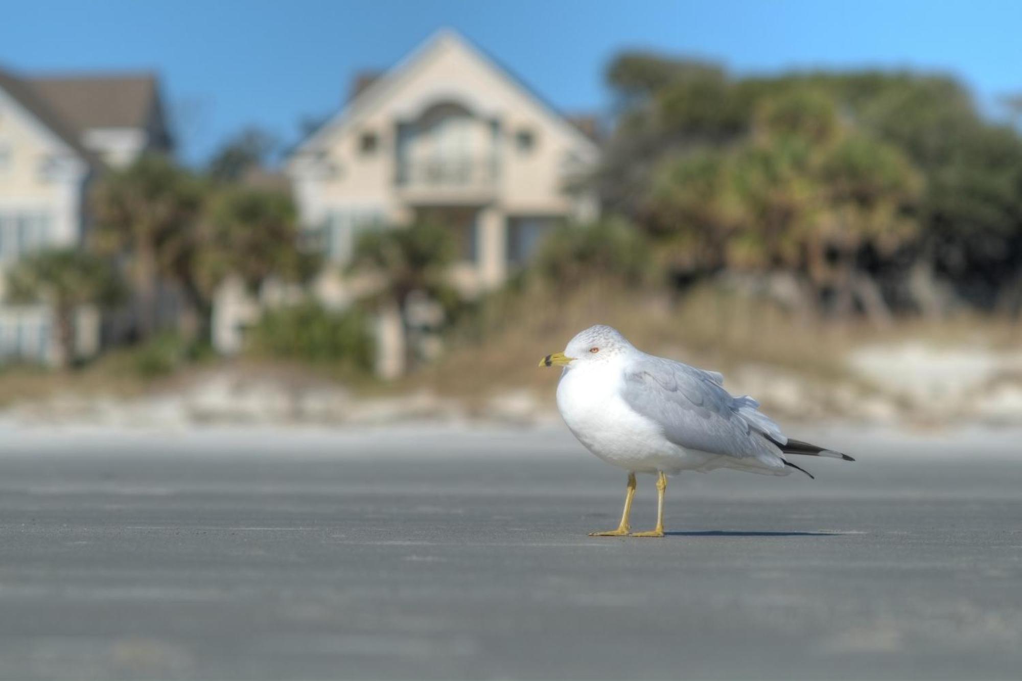 Racquet Club Villas Hilton Head Island Pokoj fotografie